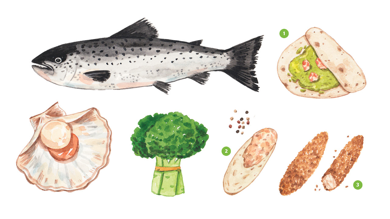 Realistic illustrations of a fish, a scallop, a broccoli, shrimp tacos, salmon spread and fish sticks all containing choline
