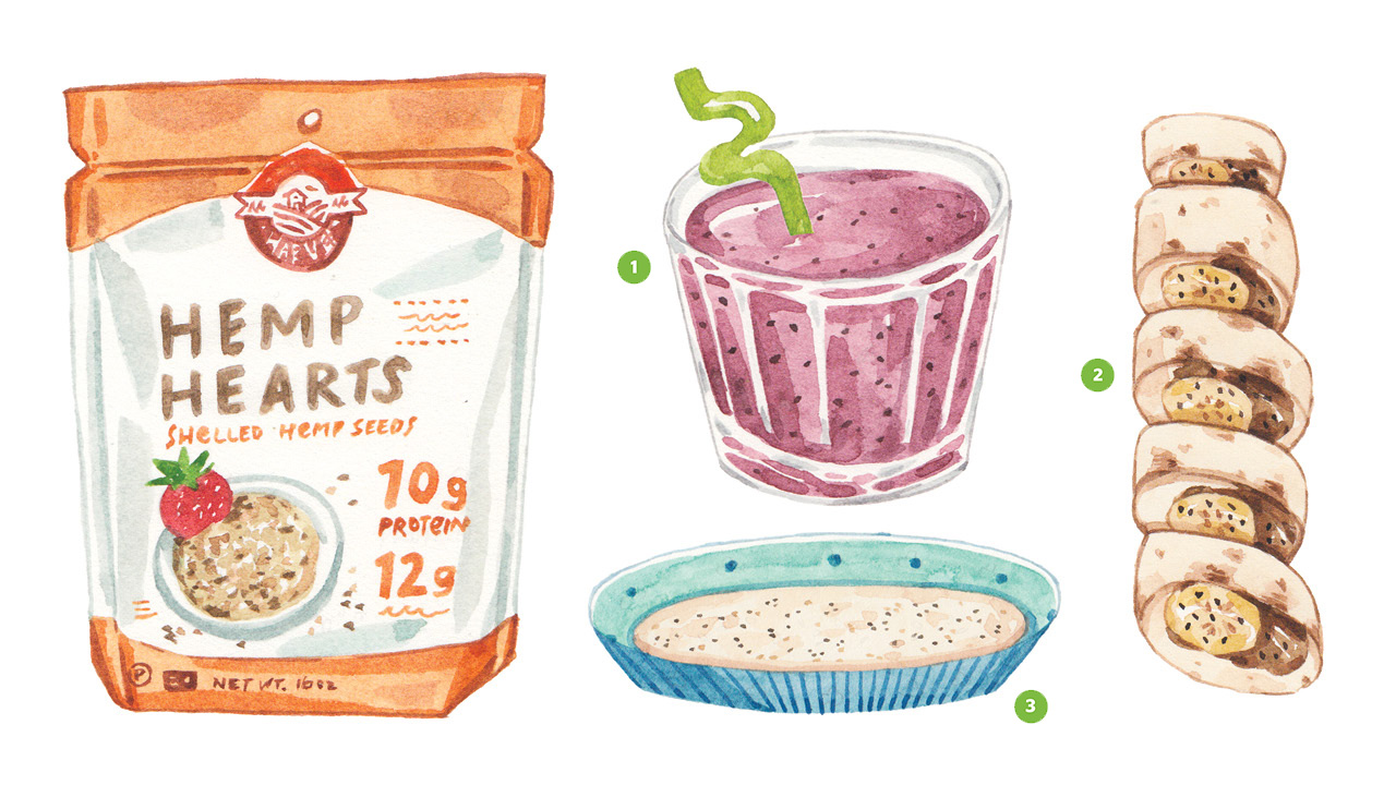 Realistic illustrations of hemp hearts, a smoothie, banana sushi and hemp flour all containing DHA