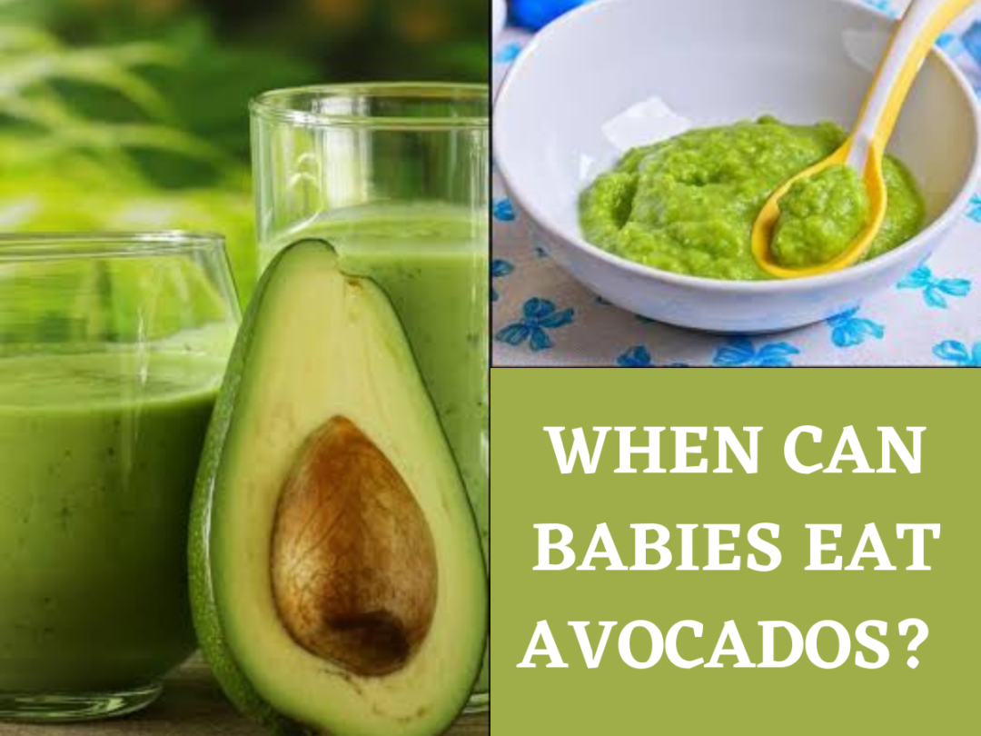 when-can-babies-eat-avocados-yardie-baby