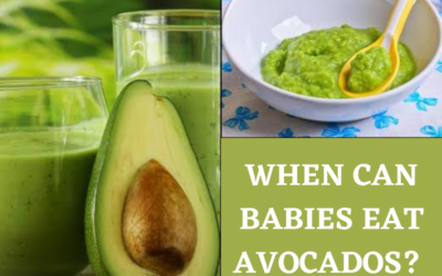 When can babies eat Avocados?